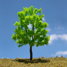 model trees